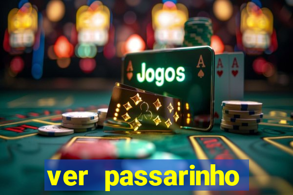 ver passarinho morto significado